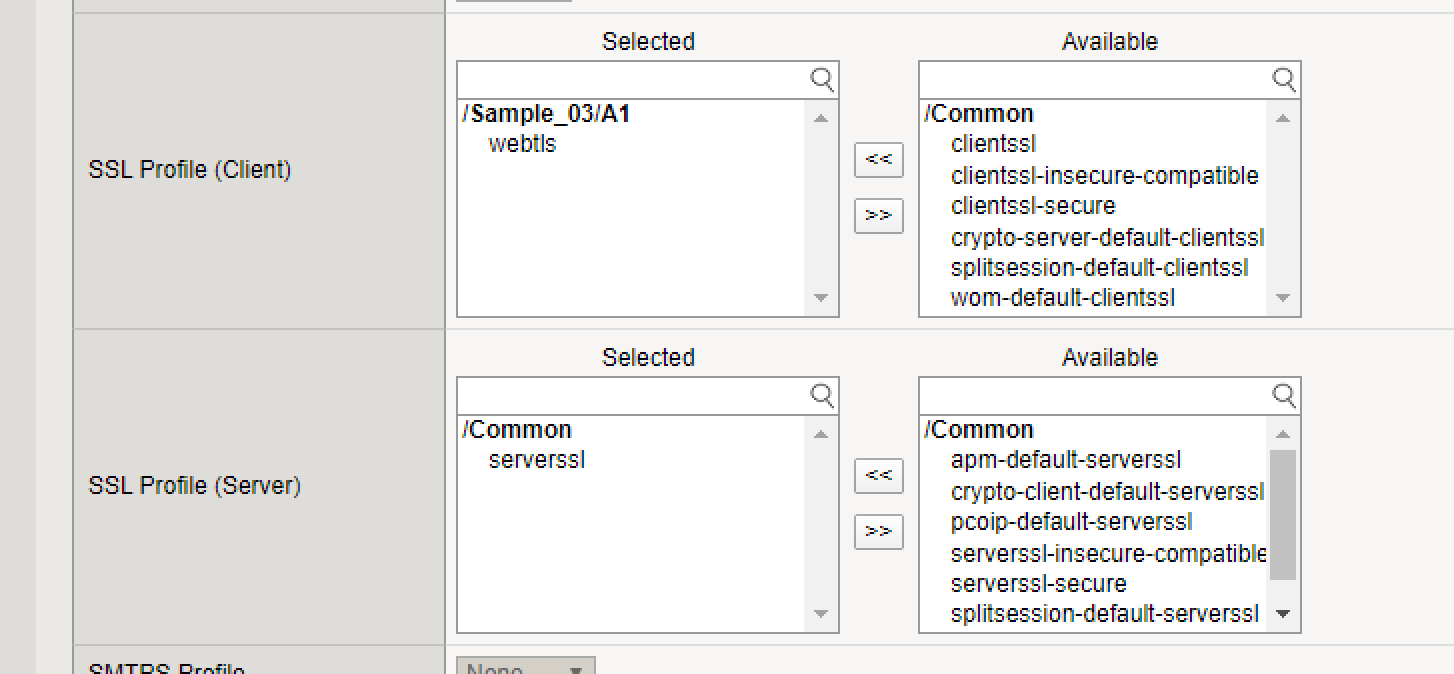 ../../_images/lab2-serverssl.png